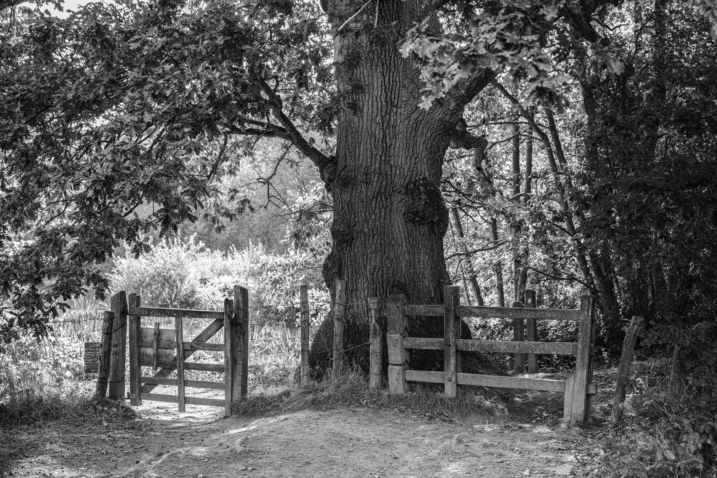 Hinter diesem Tor westlich des eigentlichen Gartens von Sissinghurst Castle erreicht man ein paar schöne Teiche.