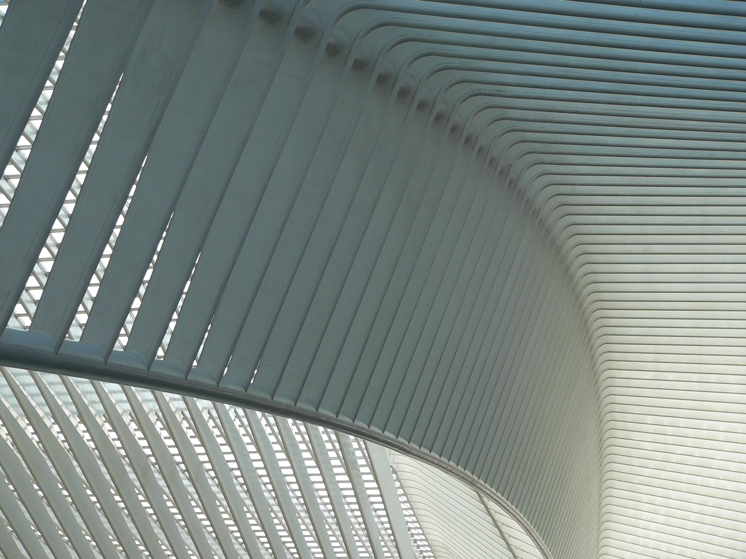 Diese Rippen sind ein typisches Stilmittel vieler Calatrava-Bauten