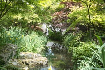 Photo: Thomas Schürmann - The castle garden of Arcen: Like painted - japanese looking landscape painting.