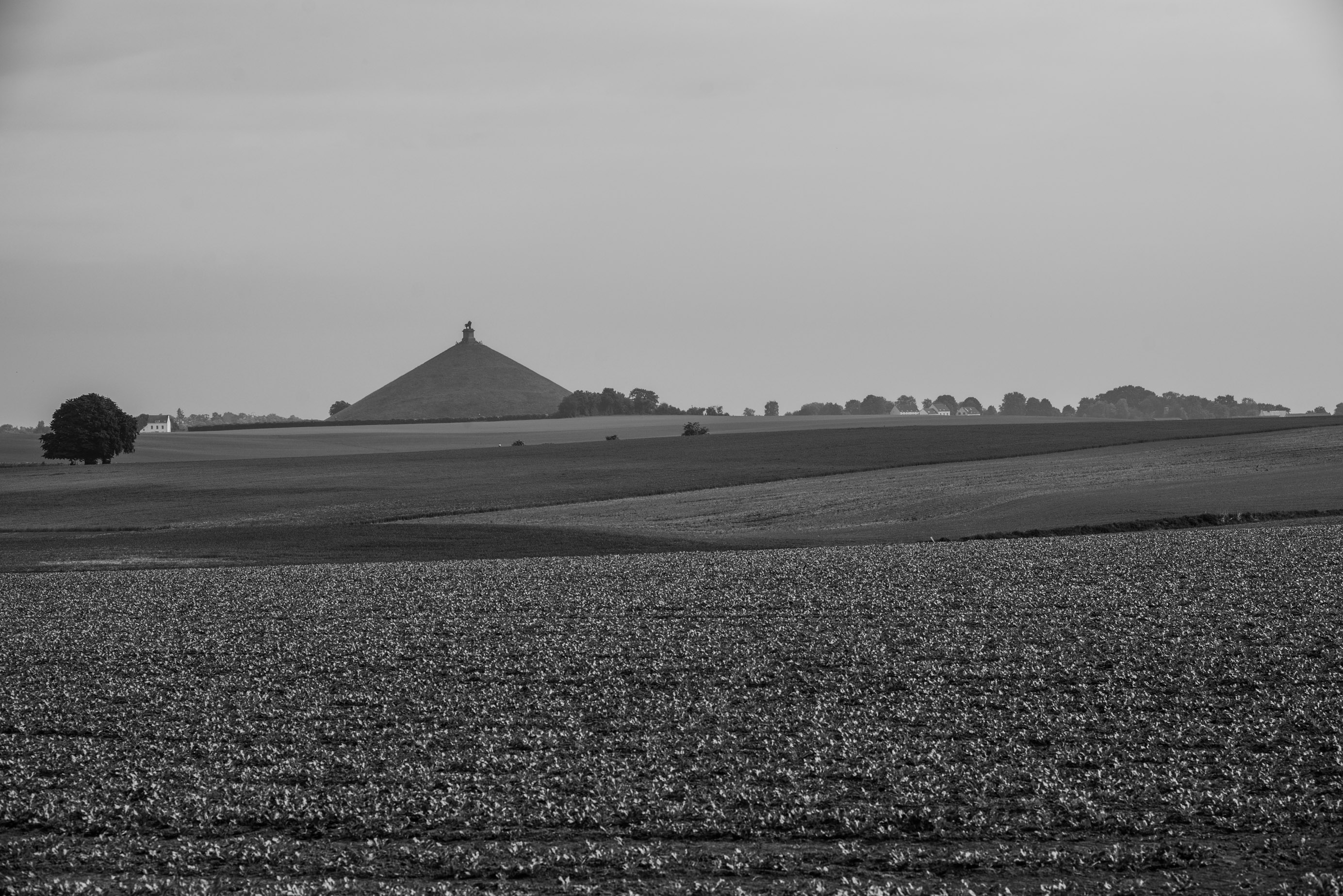 The Lion's Mound seen from the east