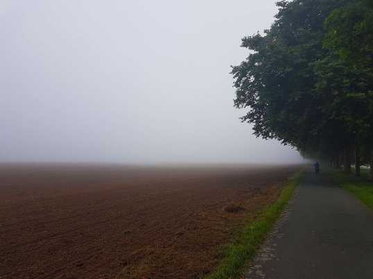 La brume fraîche du matin nous picote le visage - un plaisir de rouler ici. / Les plaisirs de la fin de l'été à vélo